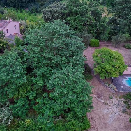 La Casa Nel Bosco Villa Lari Екстериор снимка