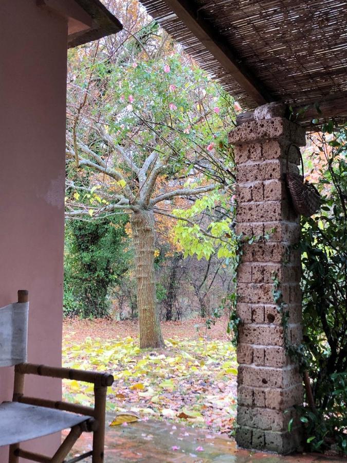 La Casa Nel Bosco Villa Lari Екстериор снимка