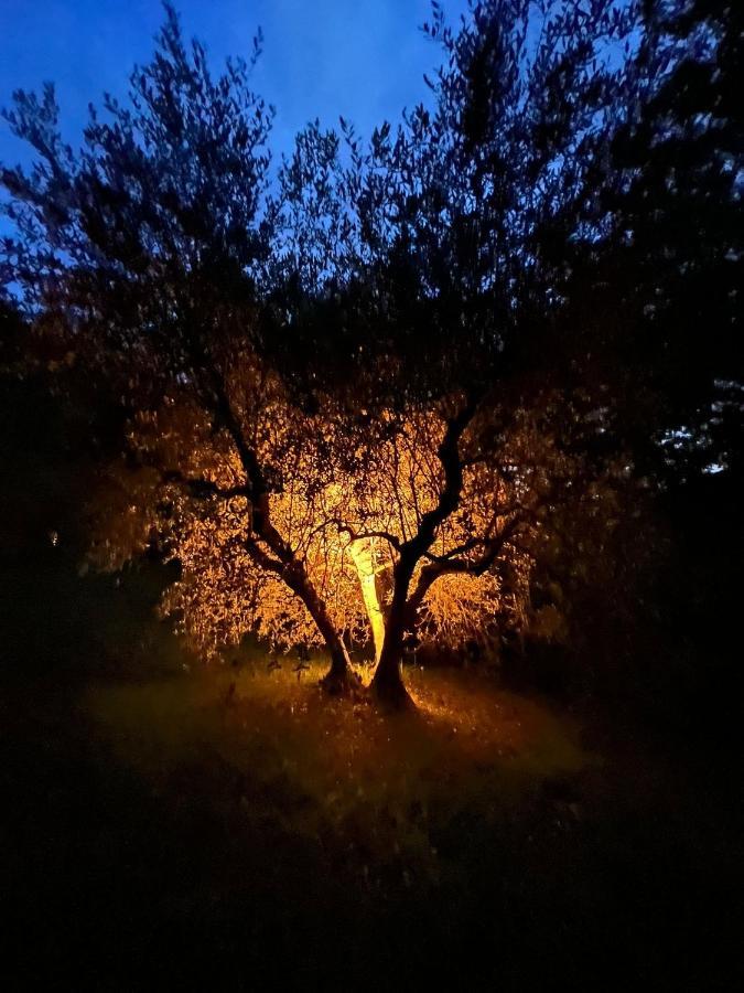 La Casa Nel Bosco Villa Lari Екстериор снимка