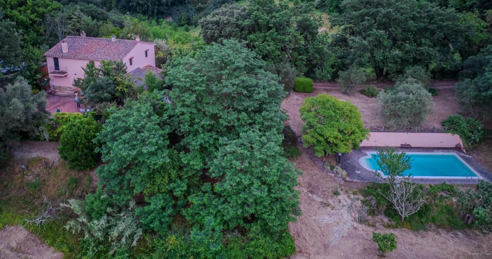 La Casa Nel Bosco Villa Lari Екстериор снимка